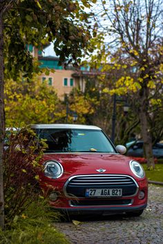 a small red car parked next to a tree