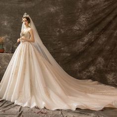 a woman in a wedding dress is posing for a photo wearing a tiara and veil