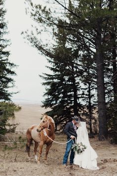 a bride and groom standing next to a horse