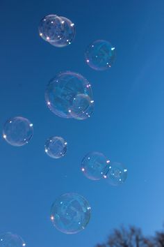 soap bubbles floating in the air on a sunny day