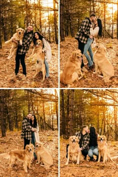 a man and woman are hugging their dogs in the woods