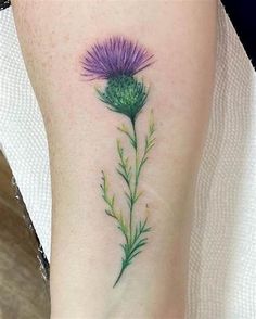 a thistle flower tattoo on the right leg with green leaves and purple flowers painted on it