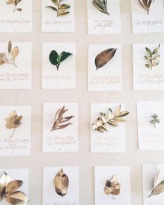 there are many different types of leaves on the table together, all in gold and white