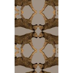 an image of a pattern with cheetah and leopard print on the back side