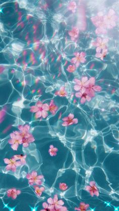 some pink flowers floating on top of water