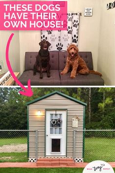 there are two dogs sitting on the couch in front of this tiny house and one is looking at the camera