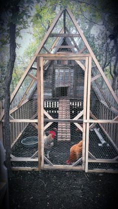 a chicken coop with two chickens in it