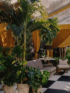 a living room filled with lots of plants and couches next to a checkered floor