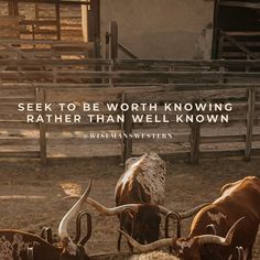 two longhorn steers in a corral with the words seek to be worth known rather rather than well known