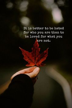 a person holding a leaf with the quote it is better to be hated for who you are than to be loved for what you are not