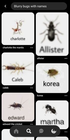 an iphone screen showing different types of bugs