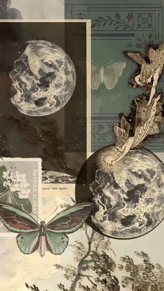 an artistic collage with butterflies and moon images