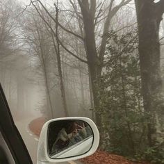 there is a car that is driving in the foggy road with trees on both sides