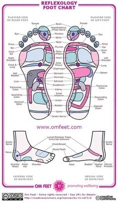 Reflexology Chart Congestion Relief, Ankle Pain, Nasal Congestion