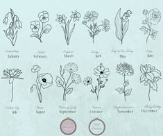 an image of flowers that are drawn in different styles and sizes on a sheet of paper