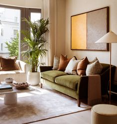 a living room filled with furniture and a plant in the corner on top of a coffee table