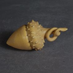 an odd looking object on a table with grey background and black surface, showing the tip of it's shell that is shaped like a snail ornament