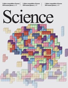 the cover of science magazine with colorful cubes in it's center and text