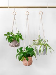 three hanging planters with plants in them