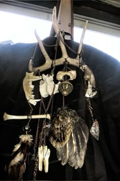 Vulture Culture Decor, Deer Antler Crafts, Fox Bones, Bat Ears, Antler Crafts, Taxidermy Art, Bone Crafts, Vulture Culture, Rooster Feathers