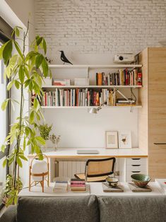 a living room filled with furniture and bookshelves next to a window covered in plants