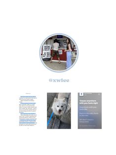 an image of a white dog on the street with people in the background and text below it