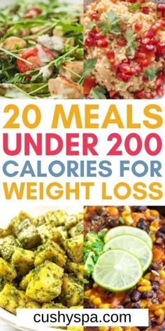 Incorporating more delicious and healthy recipes into your low-calorie diet can be much easier when you make these wonderful under 200 calorie meals. Try these delicious low calorie recipes for your healthy meal plan this week. Nothing like low-calorie lunch! #healthyrecipes#LowCalorie Recipes Under 200 Calories, Meals Under 200 Calories, Low Calorie Lunches, 200 Calorie, 200 Calorie Meals, Healthy Low Calorie Meals, Low Calorie Dinners, Calorie Meal Plan, Low Cal Recipes