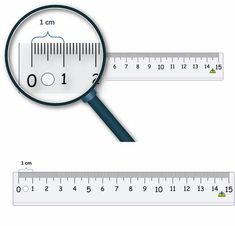 a ruler and a magnifying glass are shown