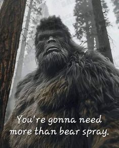 a gorilla standing in the middle of a forest with a quote on it that reads, you're gon na need more than bear spray