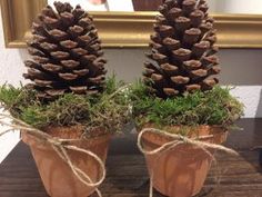 two potted plants with pine cones tied to them