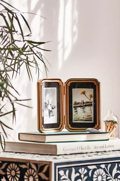 two framed pictures sitting on top of a book next to a potted palm tree