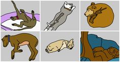 four different pictures of dogs laying on their back and sleeping in the same position,