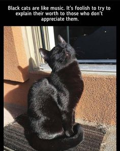 a black cat sitting on top of a door sill looking out at the outside