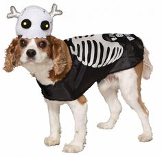 a dog dressed in a skeleton costume with horns and bones on it's head