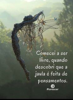 a tree branch with some kind of net hanging from it's branches and the words, comecii la ser livre, quando descobrir, que