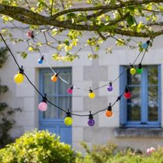 multi - colored lights strung from a tree in front of a building