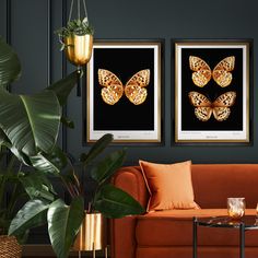 two framed butterfly pictures hang on the wall next to a couch and coffee table with candles