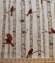 red birds are perched on the branches of birch trees