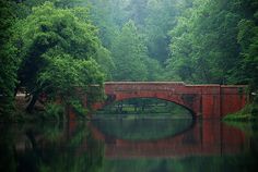 a red bridge over a body of water surrounded by green trees and tall, leafy trees