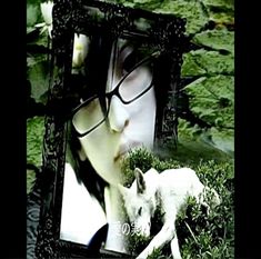 an image of a woman with glasses and a wolf in front of a frame on the ground