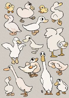 an image of ducks and geese in different poses