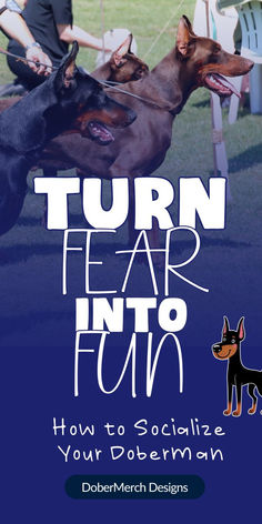 the cover of turn fear into fun how to socialize your dog's human