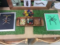 the table is set up with pictures and spider decorations