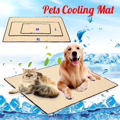 a dog and cat laying on top of a mat with water splashing around it