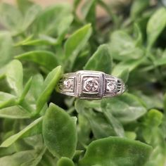 an antique diamond ring sitting on top of some green leaves