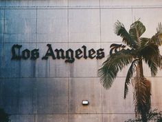 a palm tree is in front of the los angeles times sign on an office building