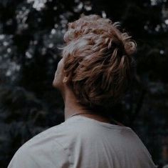 a person standing in front of trees with their back to the camera and looking up