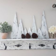 some pine cones are sitting on top of a white shelf with hooks and knobs