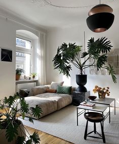 a living room filled with furniture and plants