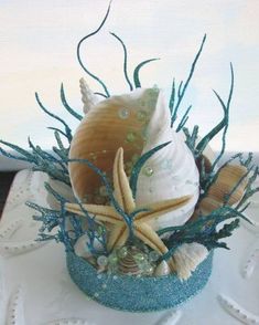 an arrangement of seashells and starfish on a table